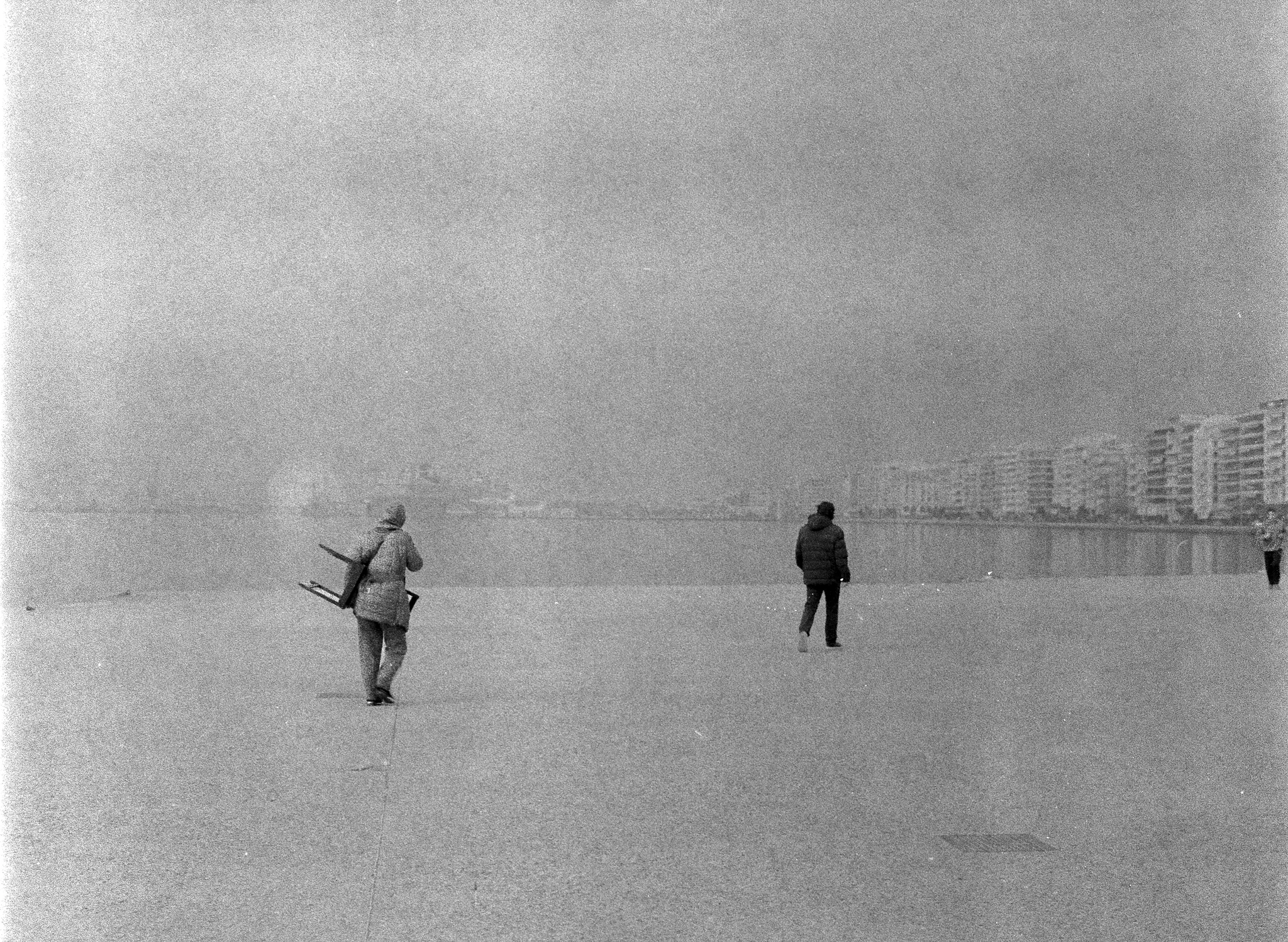 Two distant figures in a misty black-and-white landscape